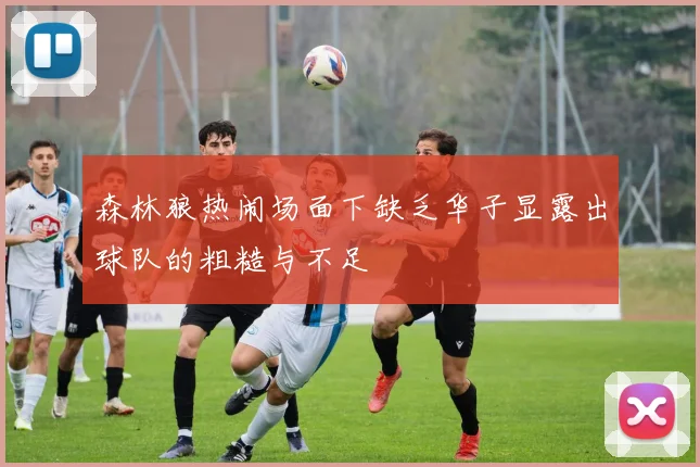 森林狼热闹场面下缺乏华子显露出球队的粗糙与不足