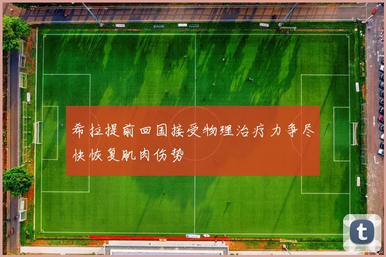 希拉提前回国接受物理治疗力争尽快恢复肌肉伤势